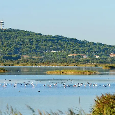 Lagrange Les Pescalunes Parque de vacaciones