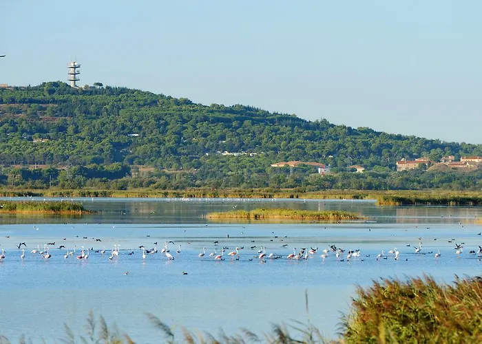Lagrange Grand Bleu Vacances – Résidence Les Pescalunes Parco vacanze